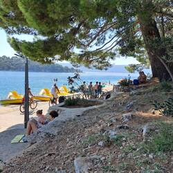 Jeder Schattenplazt ist recht 😅