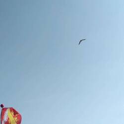 Unterwegs durch Straßburg