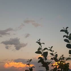 Farbenspiel in den Wolken bei Sonnenuntergang