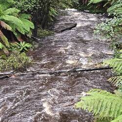 Dip River