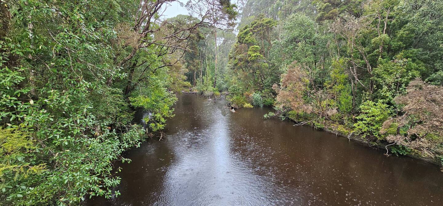 Dip River