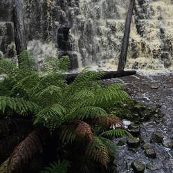 At the bottom of Dip Falls