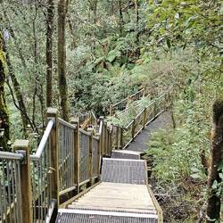 Stairs going down to Dip Falls