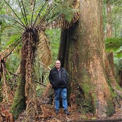 Phil beside smaller Big Tree