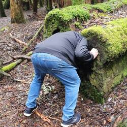 Phil looking for honey 🍯