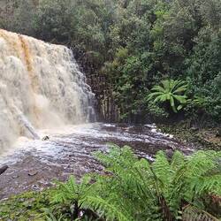 At the bottom of Dip Falls