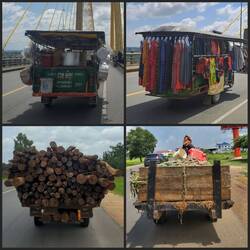 Lustige Gefährte en masse