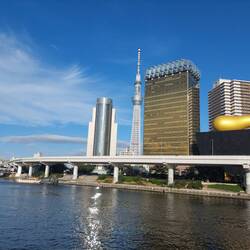 View on the Tokyio Skytree
