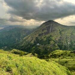 Da sieht man den Ella Rock, da soll es auch noch rauf gehen:)