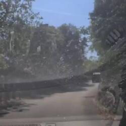 Roadtrip mit neuer Begleitung: Hobo! 🐙 (Hobotnica isch kroatisch für Oktopus) 😀