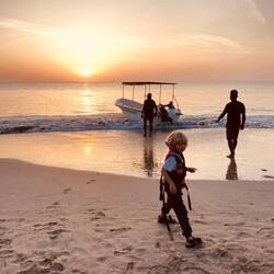 Sunrise whale watching