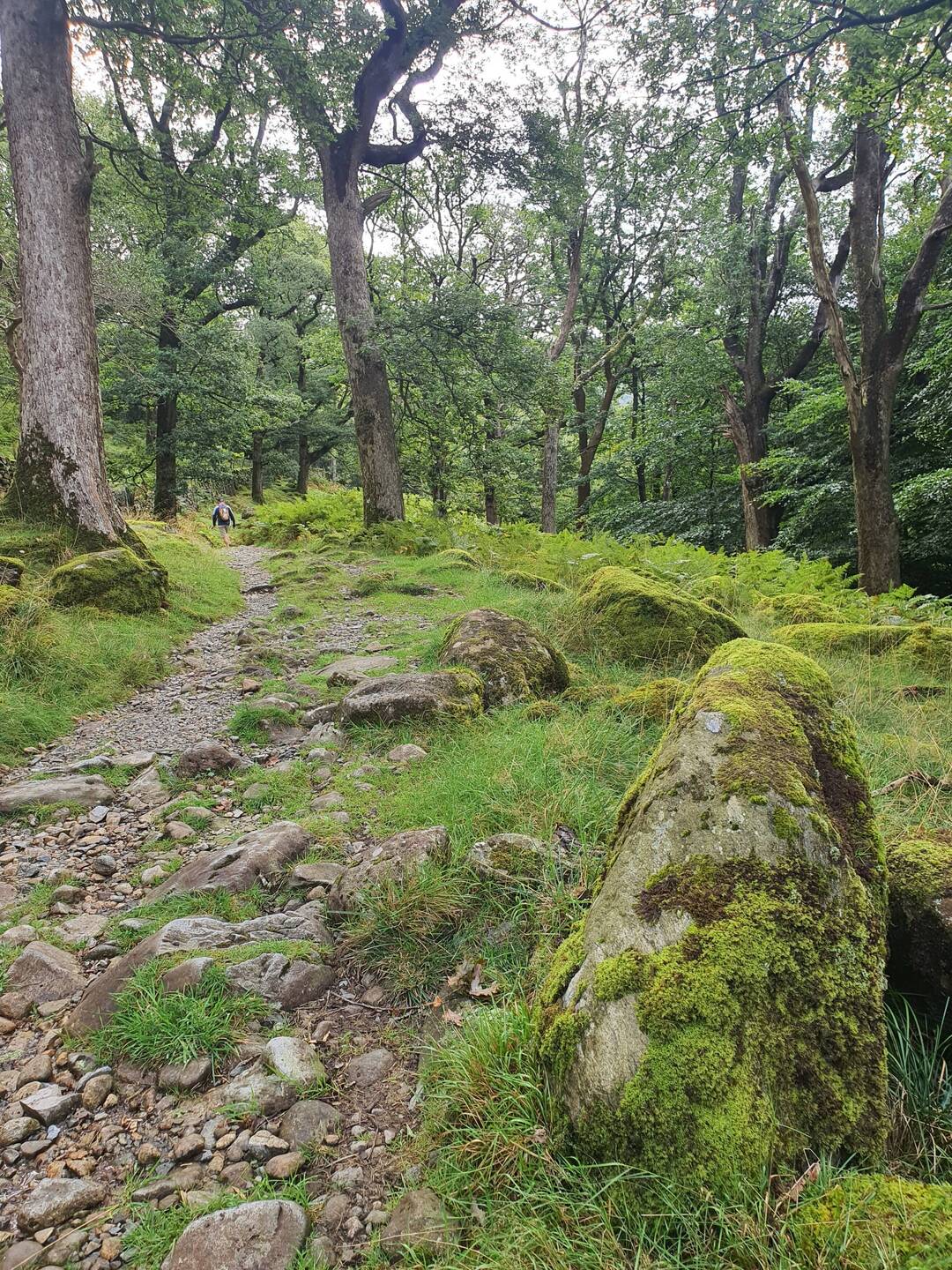 Seatoller to Rothswaite via Derwent River