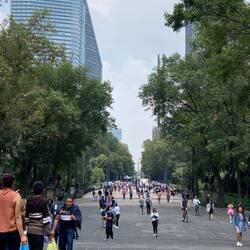 Paseo de la Reforma