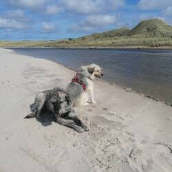 Da ziehts einem die Falten glatt 🌬️🤣