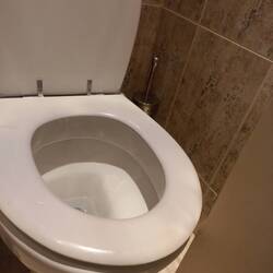 A tight fit to get in and use the toilet.