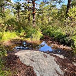 Immer noch ganz viel Wasser auf dem Weg. Ich hab eigentlich jeden Tag nasse Füße