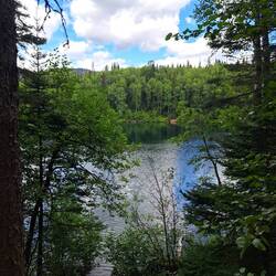 Der See ist Natur pur.