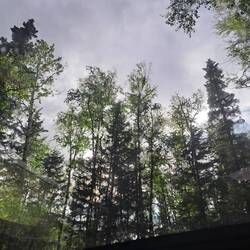 Ausblick aus dem Schiebedach bei Regen.