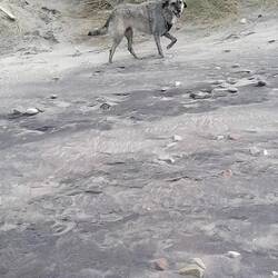 Da sands scho fertig von de Dünen