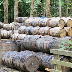 Barrels stored outdoors for something or another