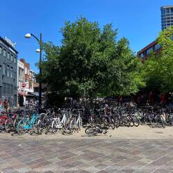 Wie viele Velos stehen wohl da?