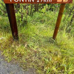 💪 ich nur noch 16 💪