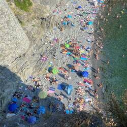 Can you spot... wallie