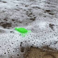 Angriff der Killerturtle