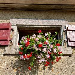 Ferme/ Auberge Rothenbrunnen