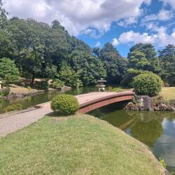 Shinjuku Gyoen Park (Traditional Japanese Garden)