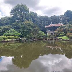 Taiwanese pavilion in shinjuku gyoen park