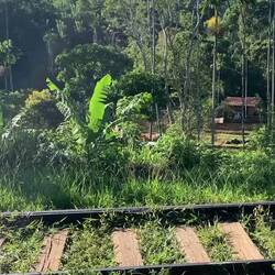 Finde unseren Zug cooler😂