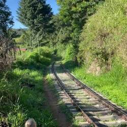 Die Schienen waren unser Weg zurück🤓