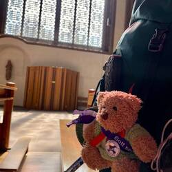 Pilgerbär im Mindener Dom