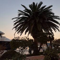 Aussicht vo Restaurant