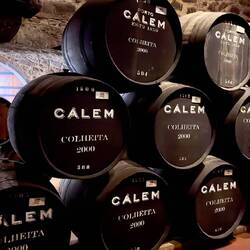 The Calem Winery Tour