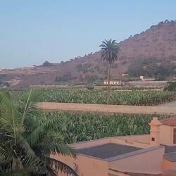 Aussicht von unserem Zimmer aus 🌴