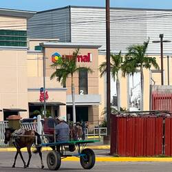 In Choluteca treffen Tradition und Moderne aufeinander 🐎🚘🚶‍♀️