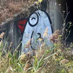 There is do much anazing grafitti