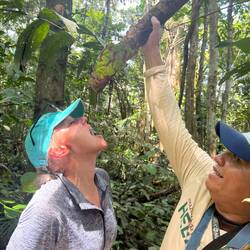 Trinkwasser aus der Wurzel (es war SO heiß mit all den langen Klamotten bei der Hitze)