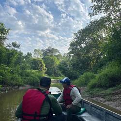 Kleiner Seitenarm des Amazonas