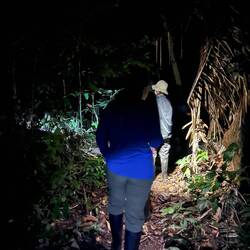 Die Nacht, der Dschungel und wir