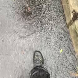Dann geht es weiter nach Moos. Es ist ein bisschen nass. Von Moos gehts mit dem Bus nach Pfelders.