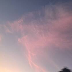 Wer findet hier den Elefanten?