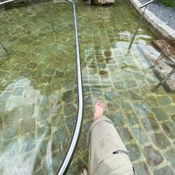 Regeneration im Kneippbecken