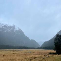 Routeburn Flats