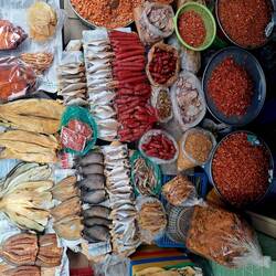 Welcher Fisch darf es sein?