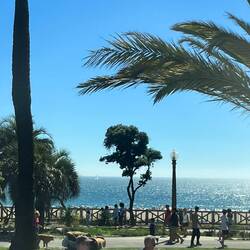 Beach Day in Santa Monica.