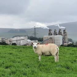 Two of the major industries of the North