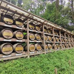 A także beczki z winem!